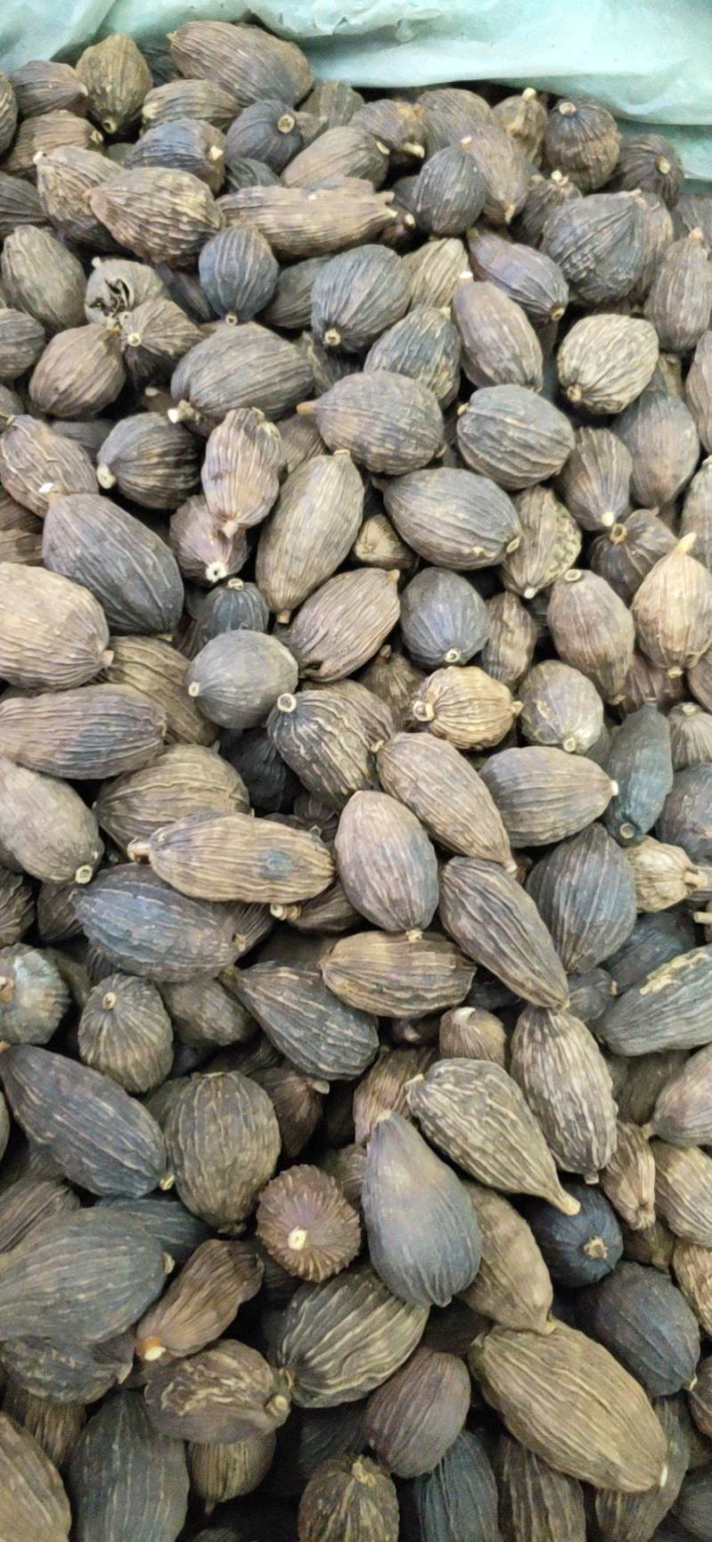 草果云南草果干草果火烤草果电烤草果产地直发精品草果