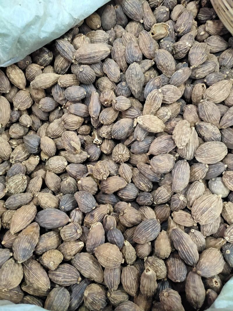 草果云南草果干草果火烤草果电烤草果产地直发精品草果