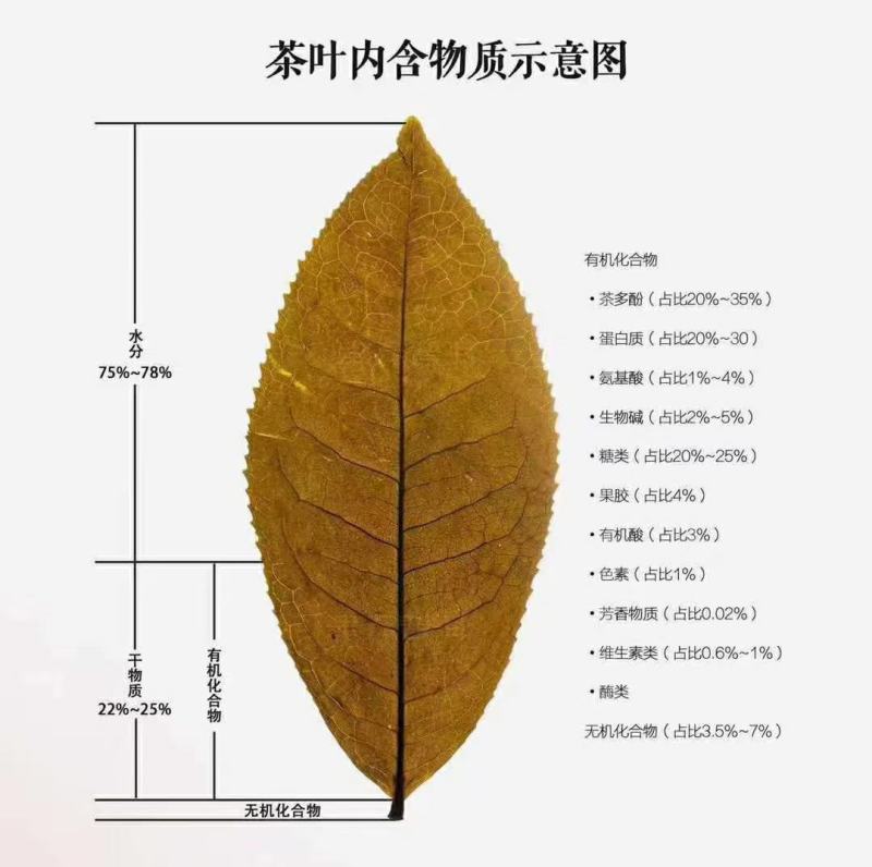 云南古树普洱茶冰岛玉润8克小饼2020年勐傣普洱优惠多