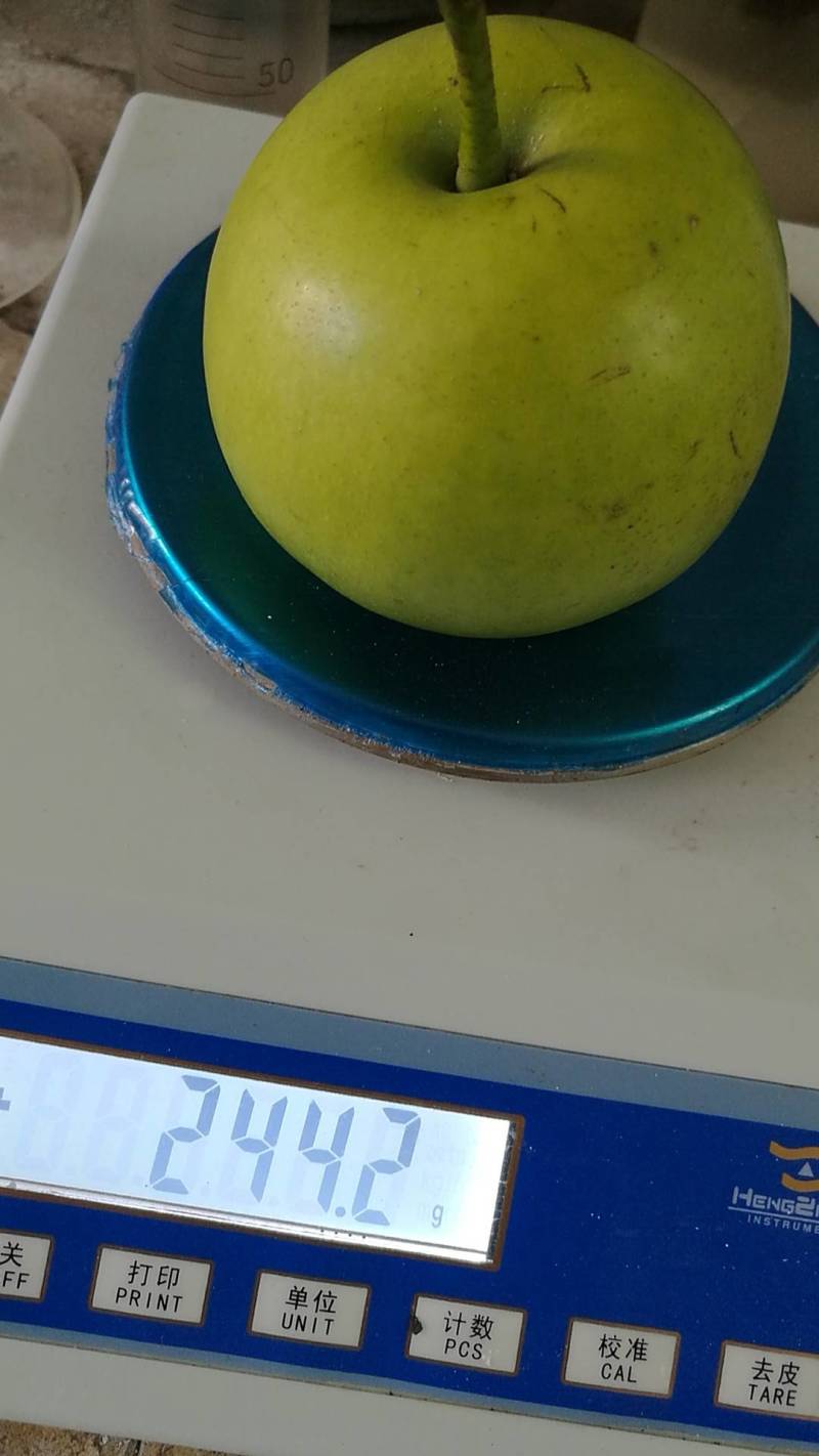 翠冠梨