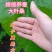 【精选好货】养蚕嫁接桑树苗，农桑14号，强桑大叶桑树苗