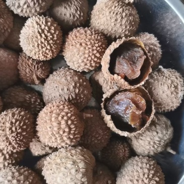 桂味荔枝干，急需处理500斤左右库存当季荔枝干