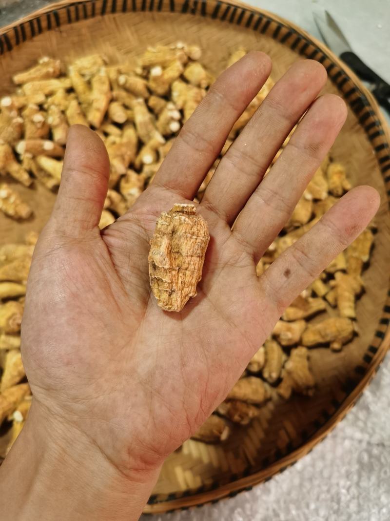 西洋参软支加拿大进口十克立头新货
