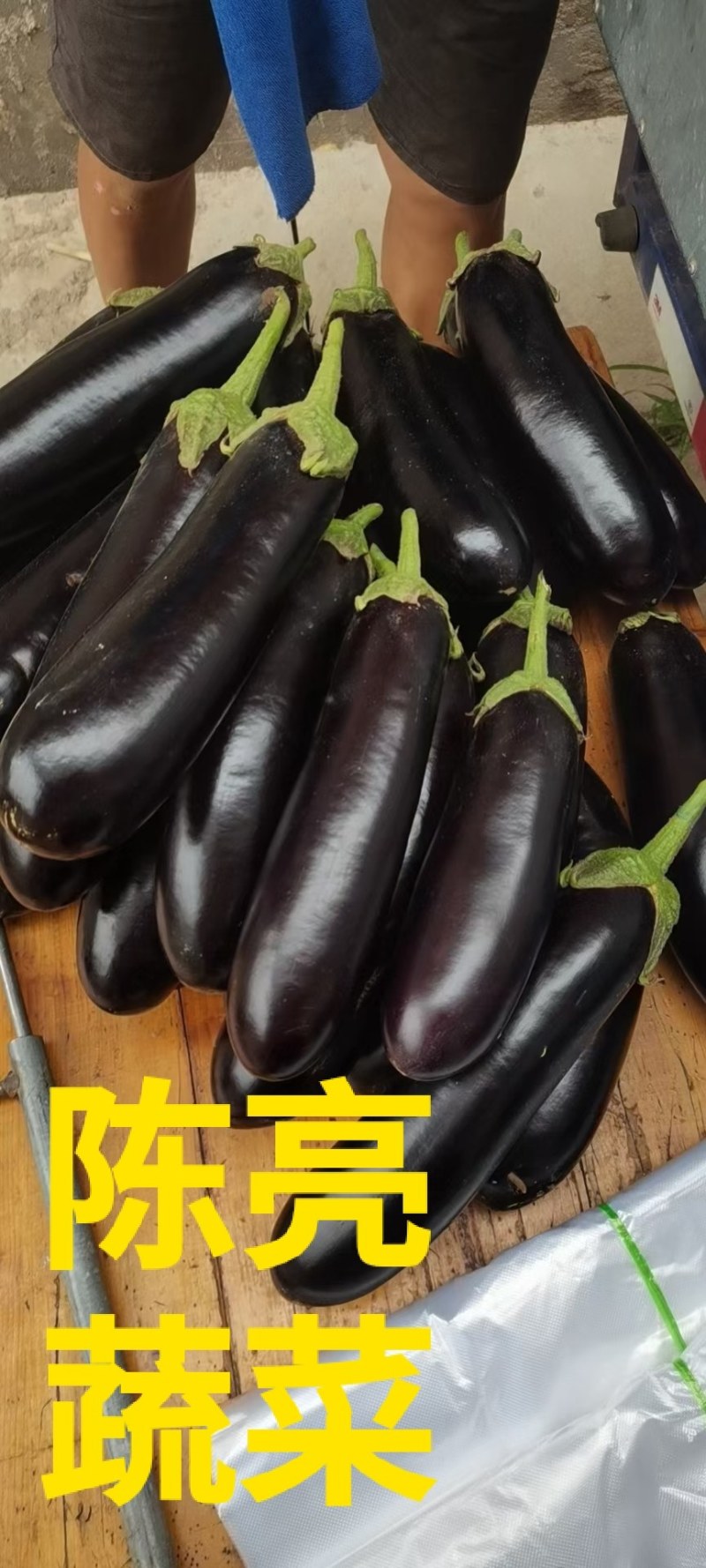 河南金刚烧烤茄，绿把黑茄，商超，电商，产地直发全国。