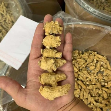 西洋参软支加拿大进口十克立头新货
