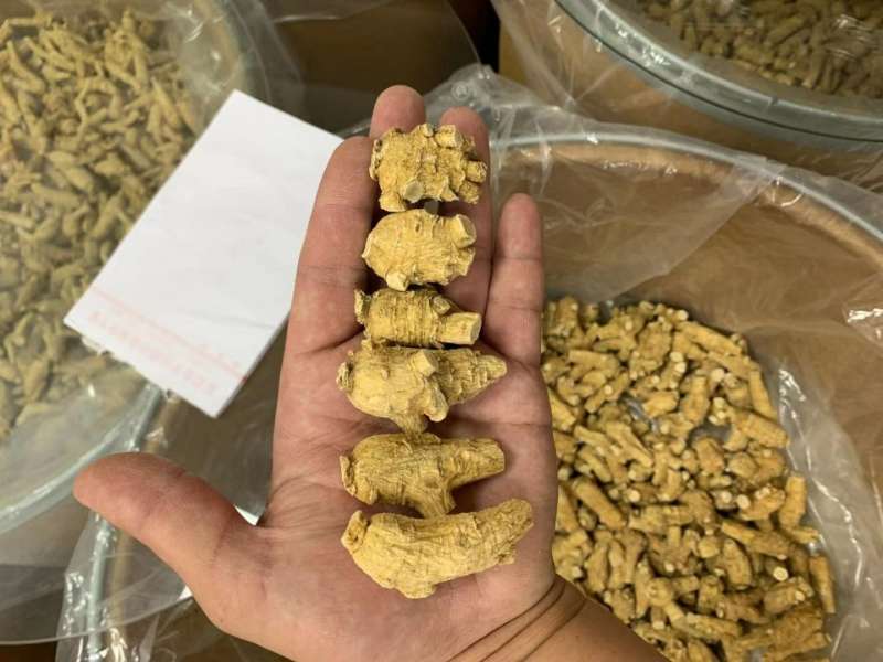 西洋参软支加拿大进口十克立头新货