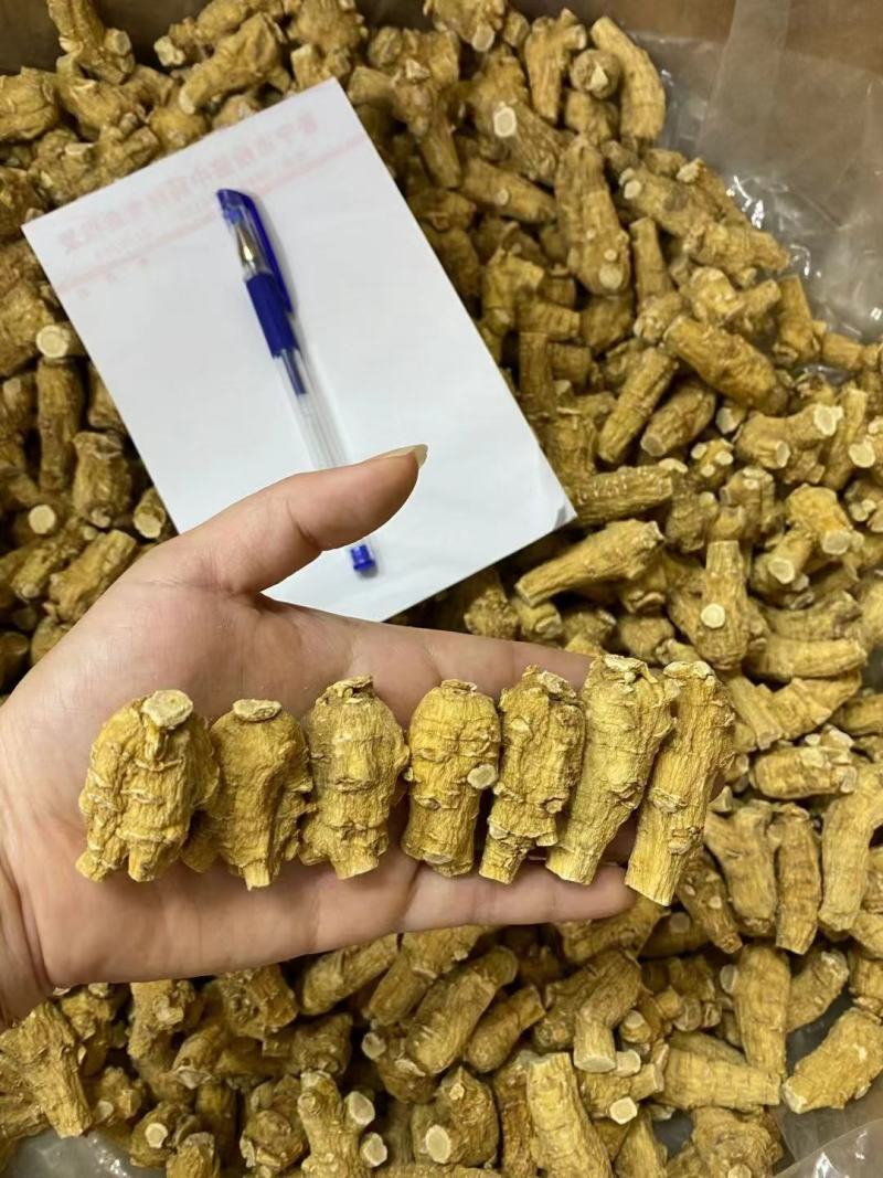 西洋参软支加拿大进口十克立头新货