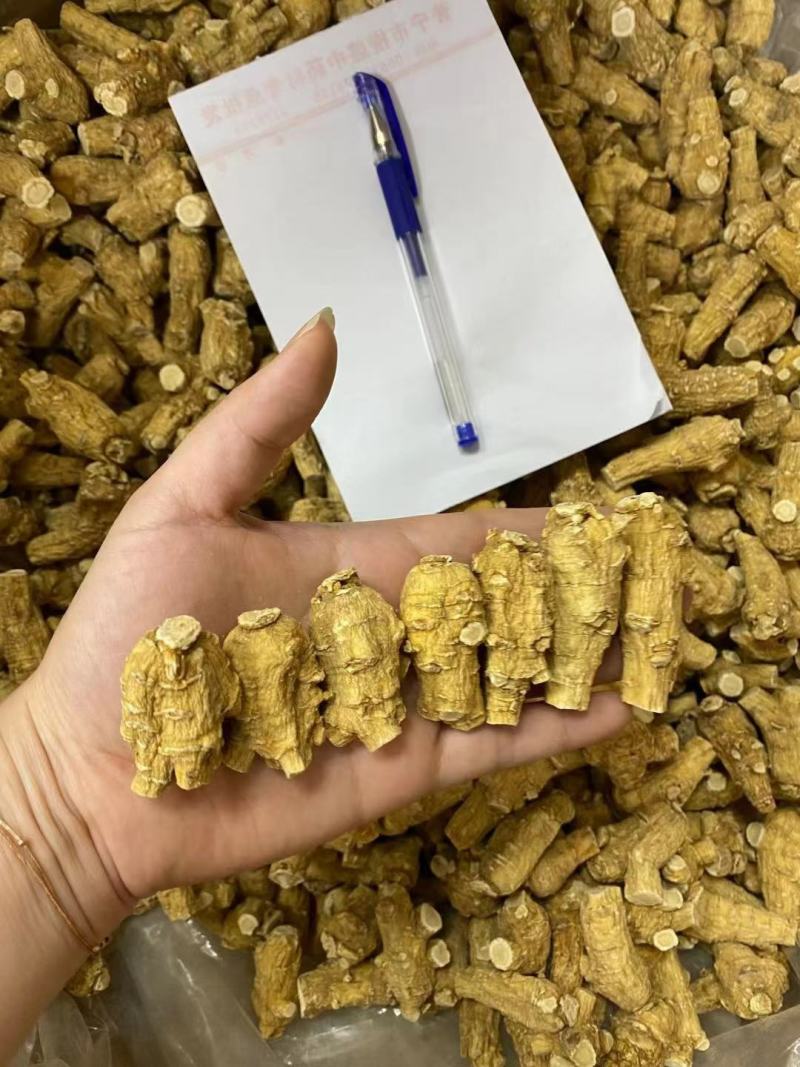 西洋参软支加拿大进口十克立头新货