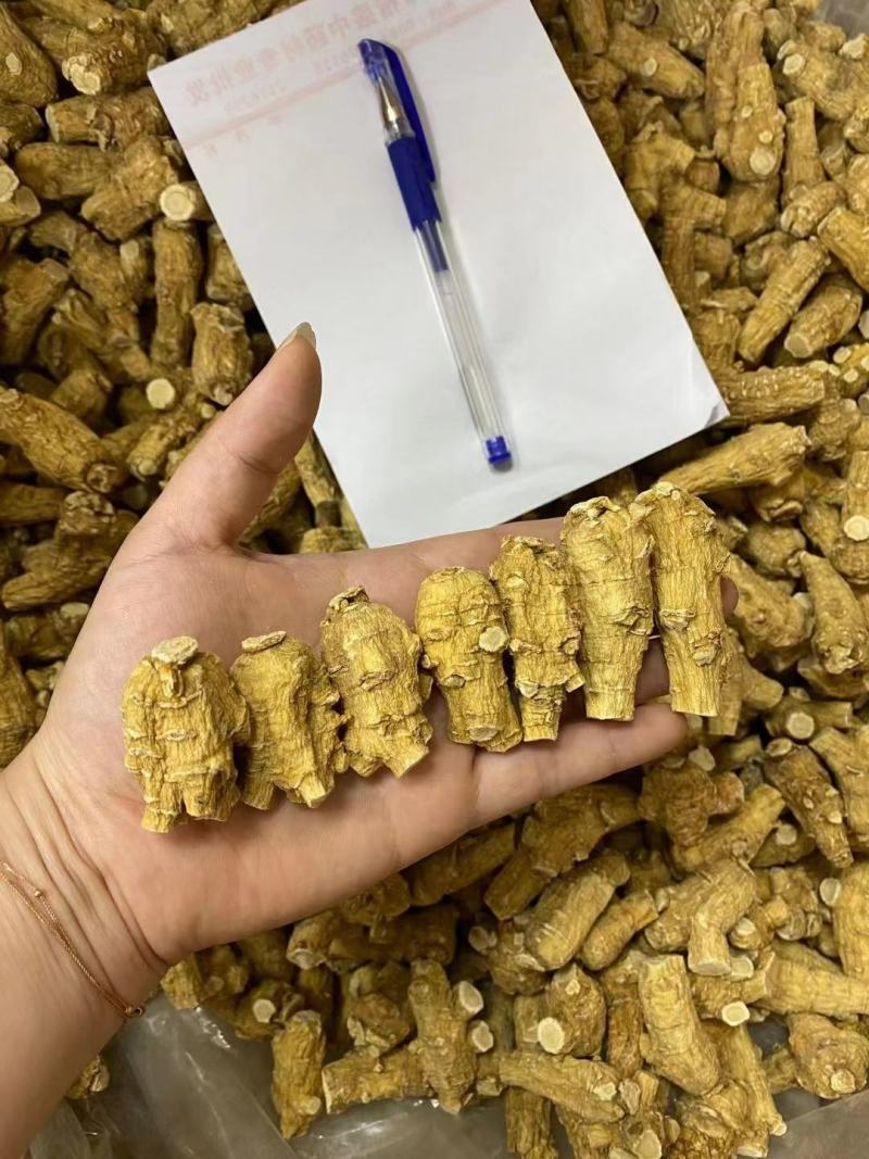 西洋参软支加拿大进口十克立头新货