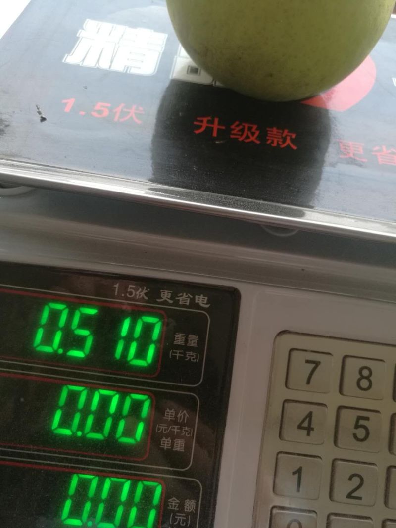 湖北翠冠梨
