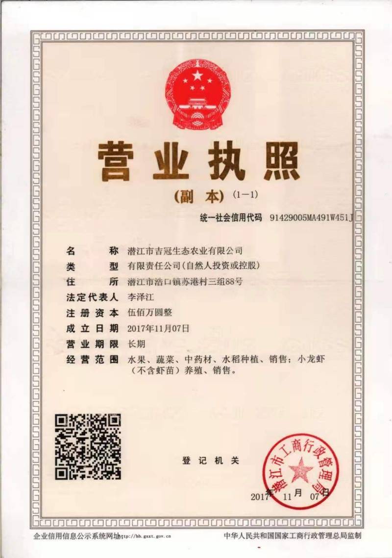 湖北翠冠梨