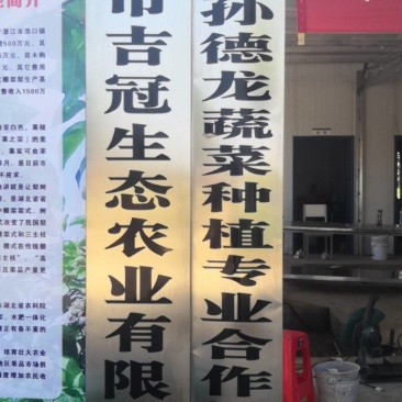 湖北翠冠梨