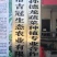 湖北翠冠梨