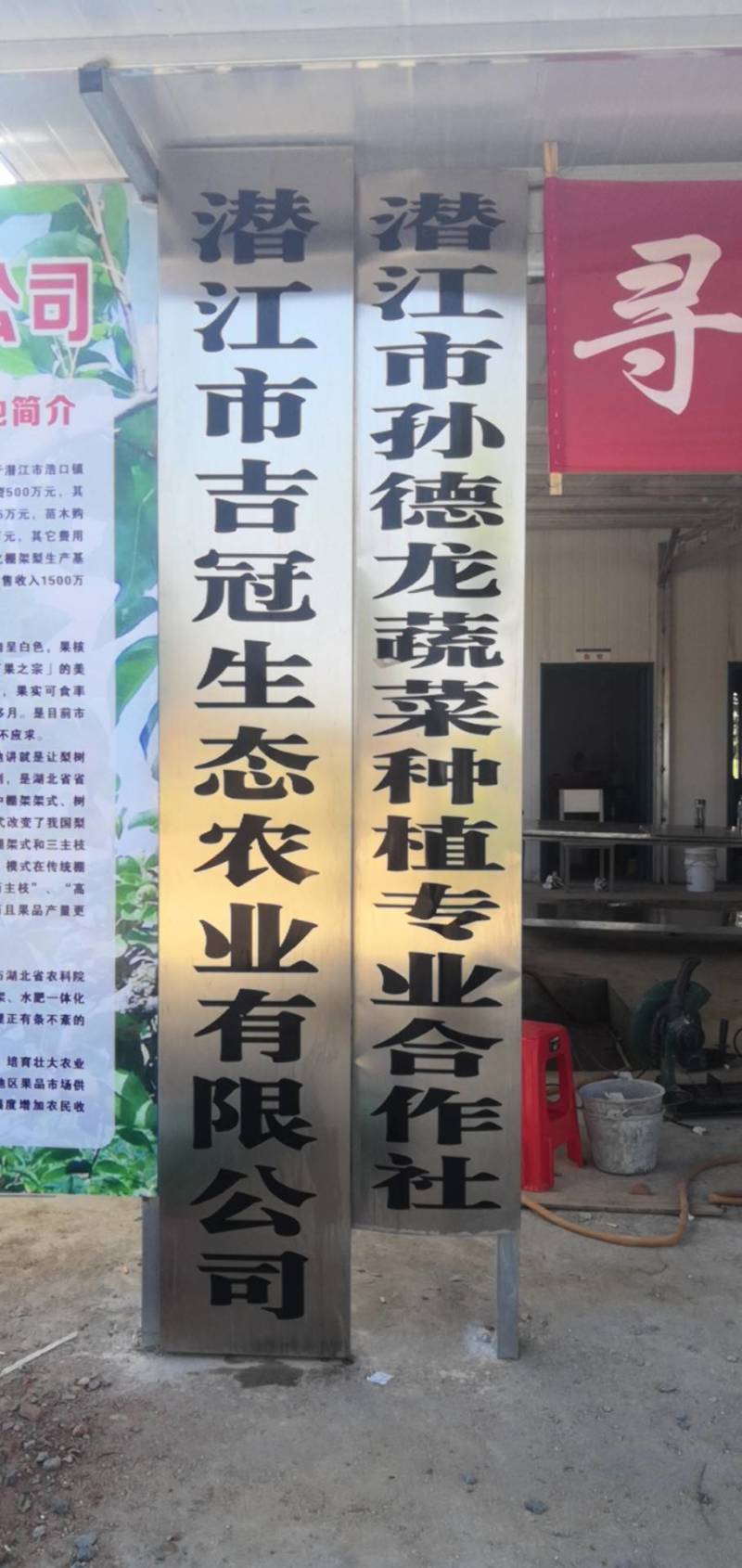 湖北翠冠梨