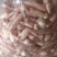 新鲜草鱼泡鲢子鱼泡杂鱼宝鲤鱼泡鲢鱼内泡鱼泡泡鱼鳔