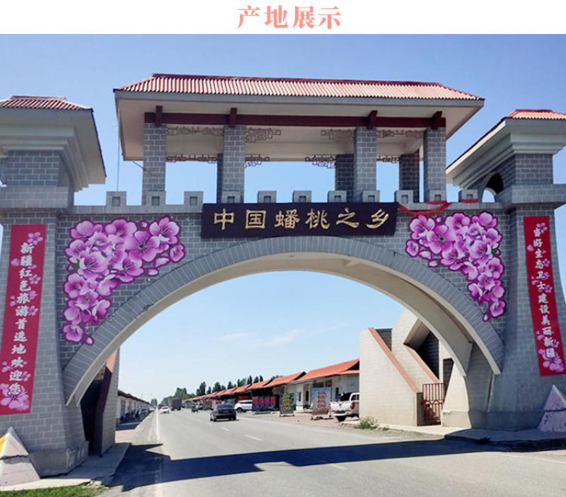 2026年新货，新疆蟠桃，果园直采产地直发一件代发包邮