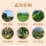 93%2甲草甘膦二甲草甘磷粉剂杀草烂根杂草灭生性除草剂