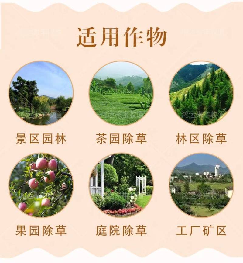 93%2甲草甘膦二甲草甘磷粉剂杀草烂根杂草灭生性除草剂
