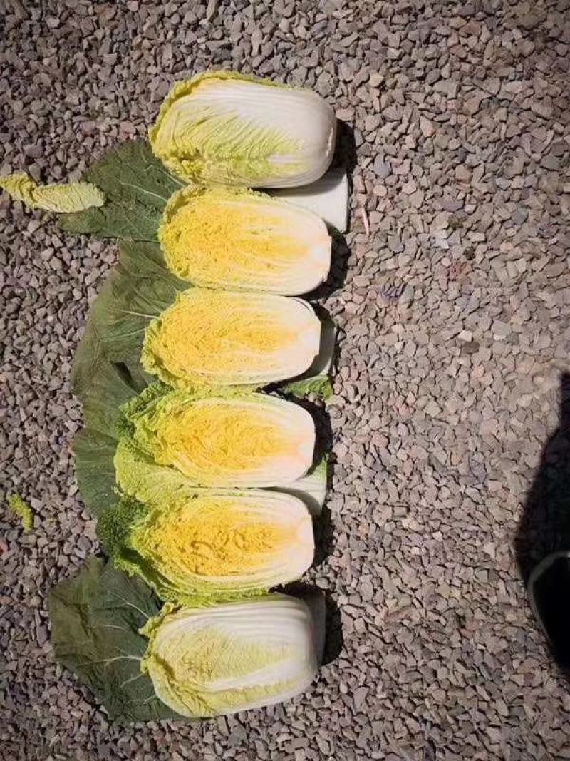 优质黄心白菜净菜4.5.6，产地直销，品质保证，欢迎选购