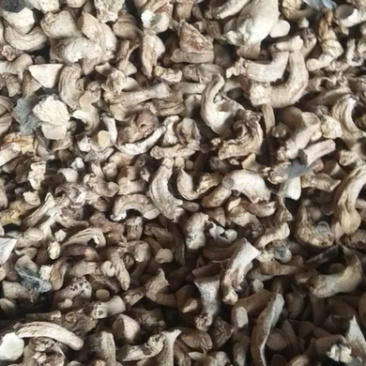 大量出售单剪香菇脚无杂质干度保证