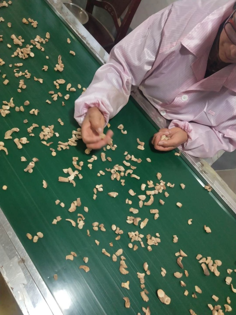 大量出售单剪香菇脚无杂质干度保证