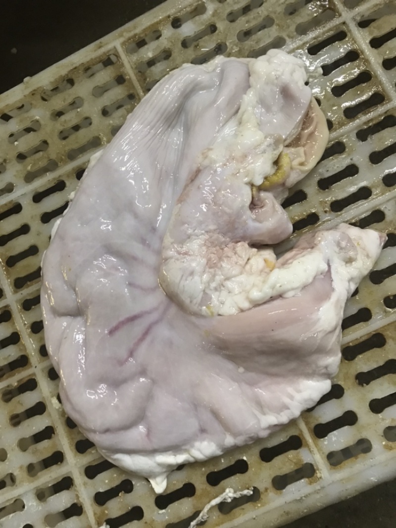 新鲜国产猪肚200-400克长期稳定供