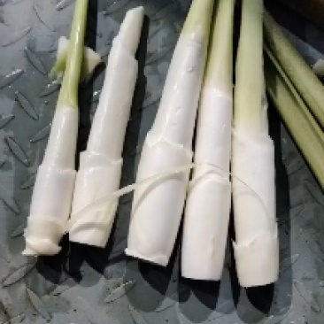 【精选】四川省凉山万亩茭白精品茭白肉质白产地直发欢迎选购