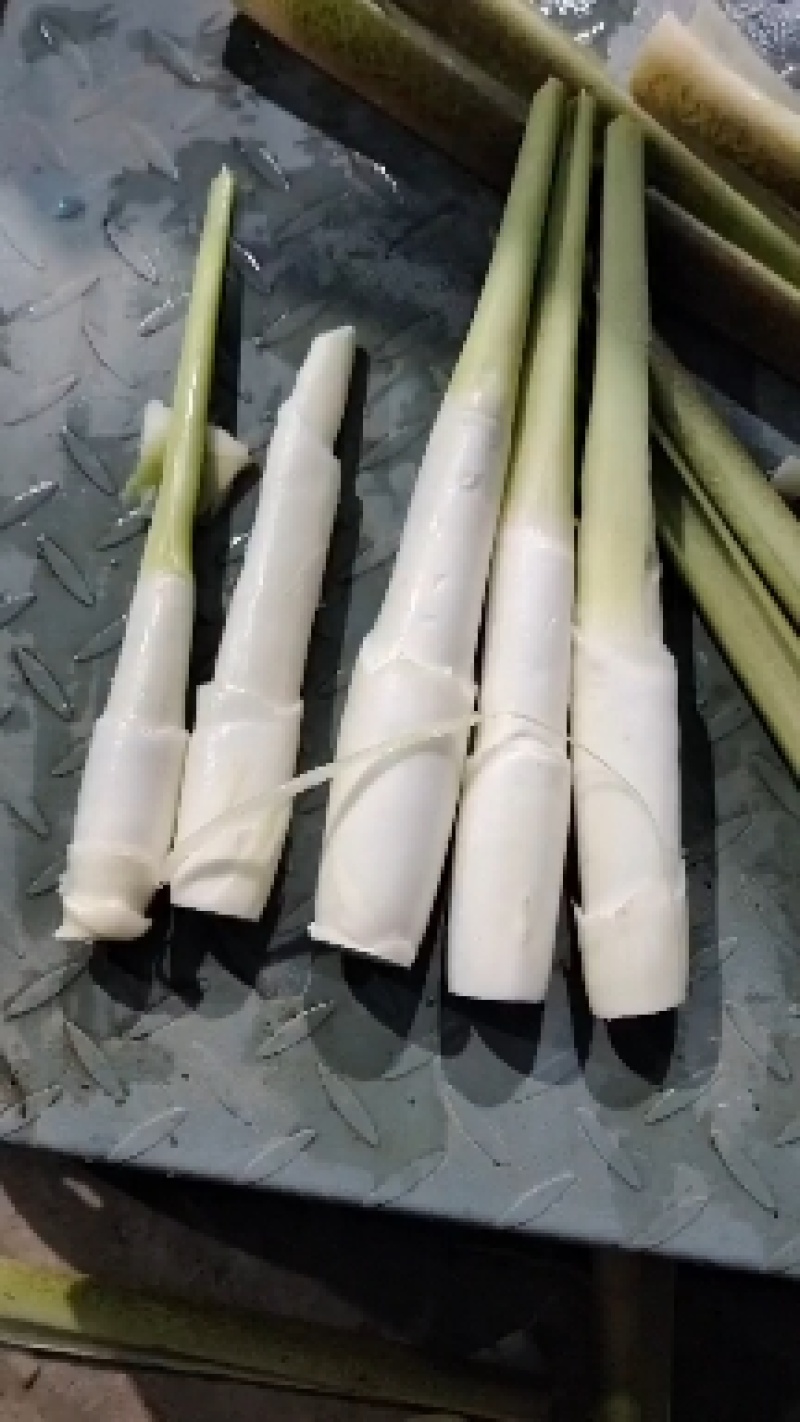 【精选】四川省凉山万亩茭白精品茭白肉质白产地直发欢迎选购