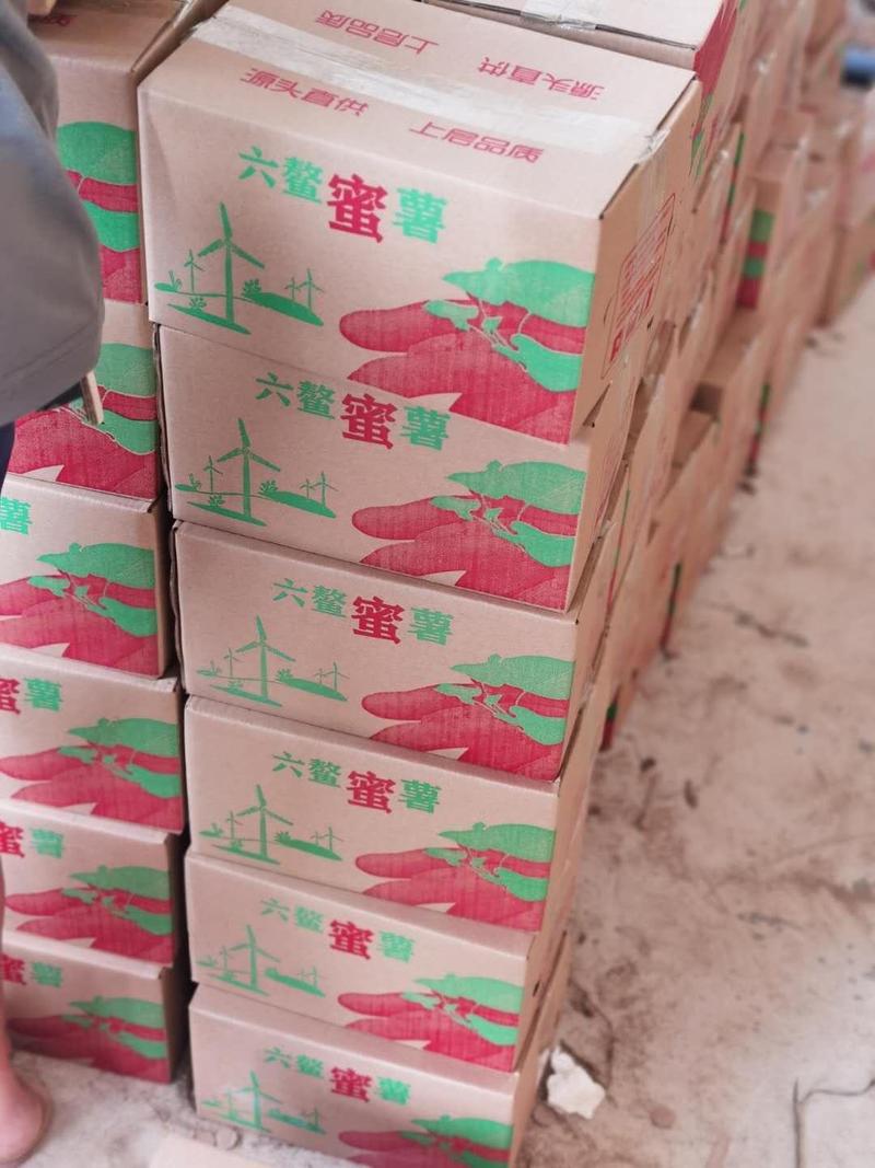 福建省漳州市漳浦，六鳌蜜薯大量供应商超市，落地配