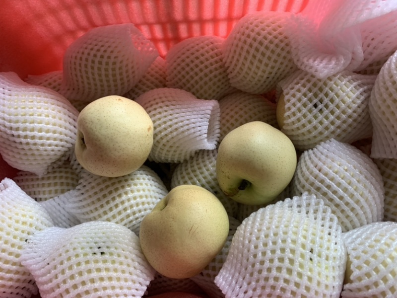 白色宝石梨大量供应