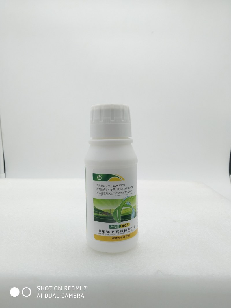 25%多效唑悬浮剂控旺长药防徒长缩节矮化控梢控旺剂