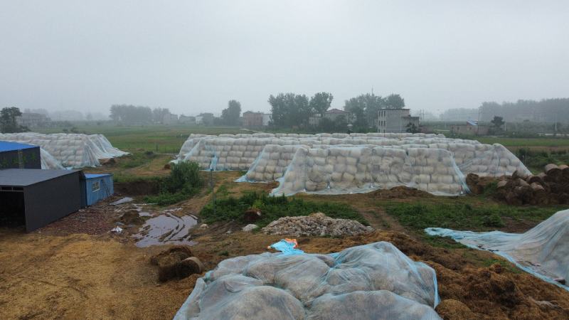 黄金绳麦秸600公斤一捆3-5公分长度