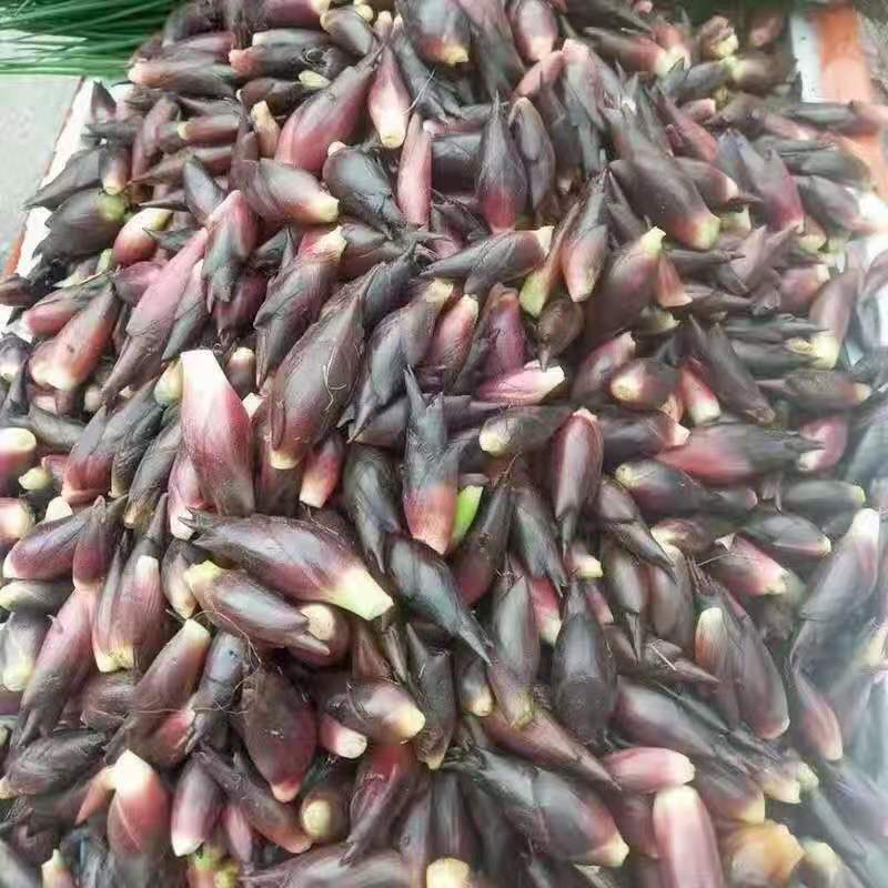 洋藿，有意的话可以面议