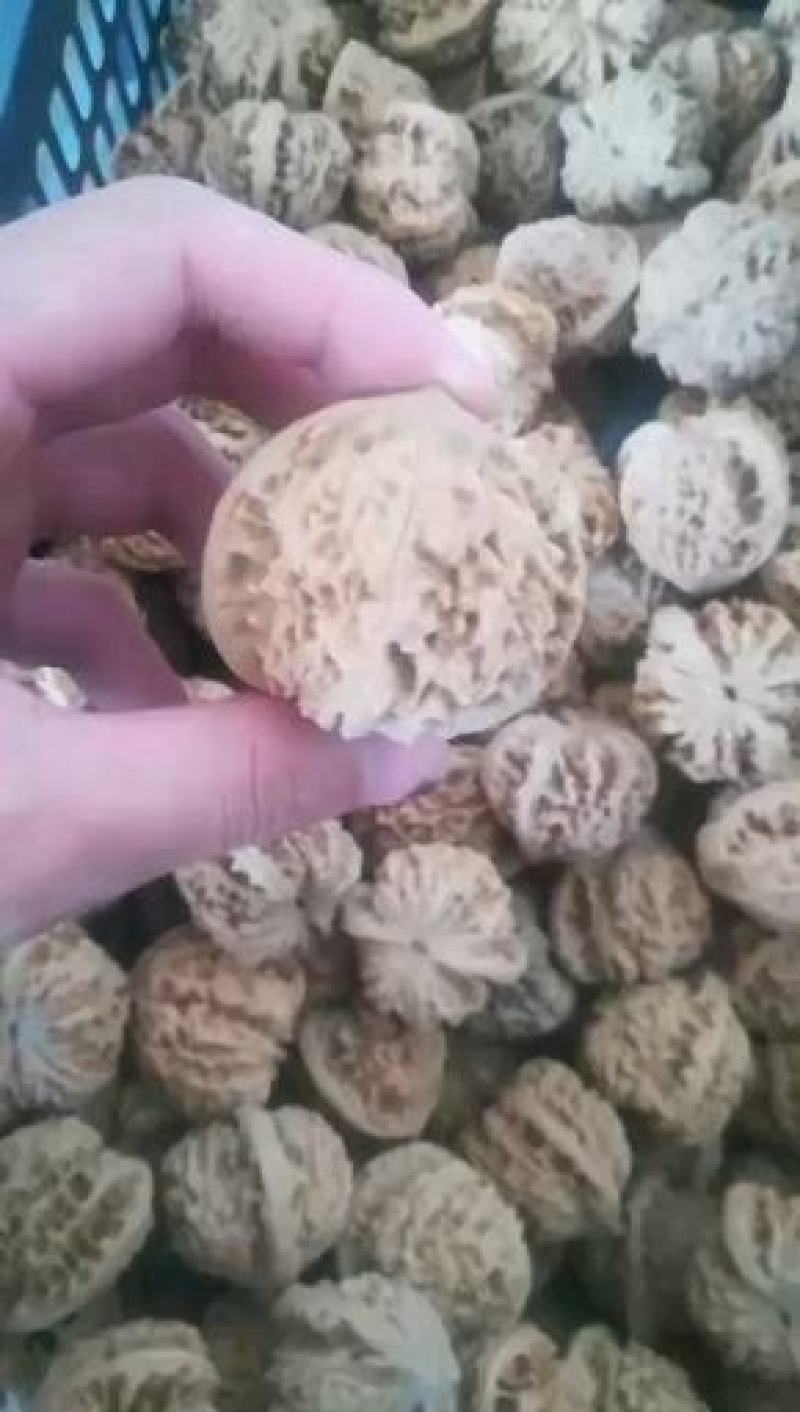 文玩核桃麻核桃四座楼官帽满天星批发散货苹果园狮子头