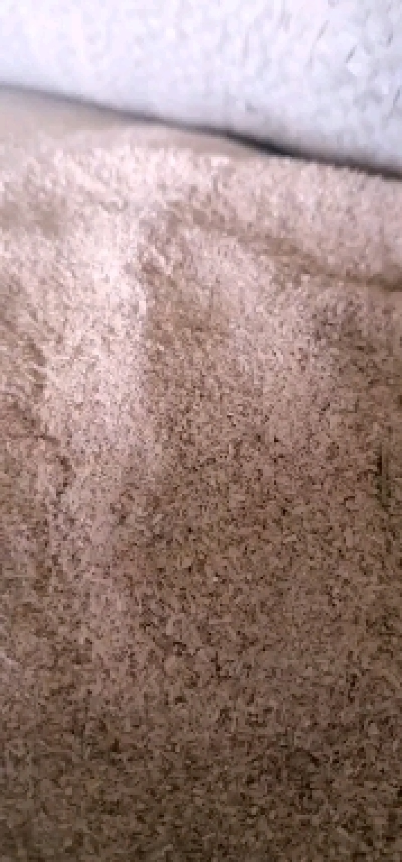 稻壳粉