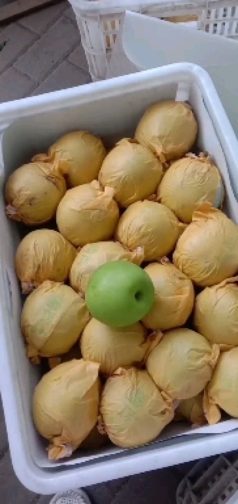 翠冠梨口感脆甜，多汁，果肉细白，几乎无核，饱满果肉