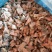 马哈鱼碎肉，宠物食品原料，深海鱼，15公斤一箱，带皮无刺