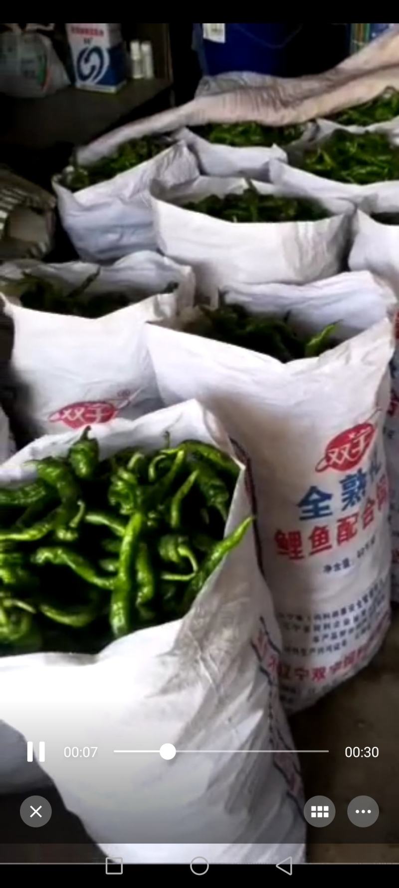 精品辣椒，有要的可以联系