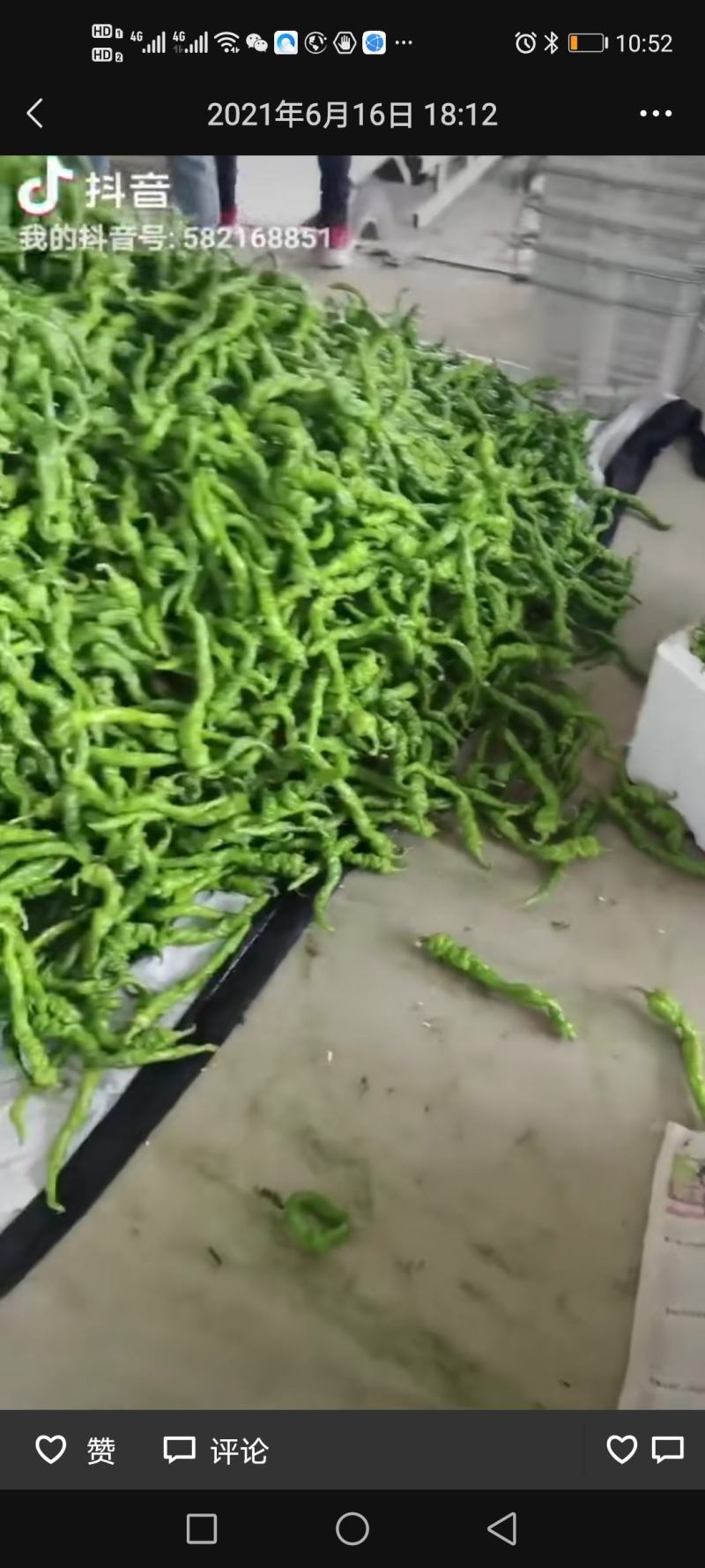 精品辣椒，有要的可以联系