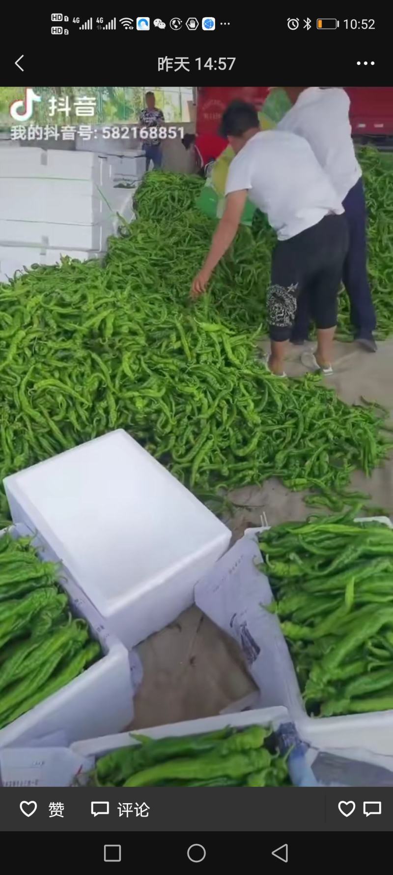 精品辣椒，有要的可以联系