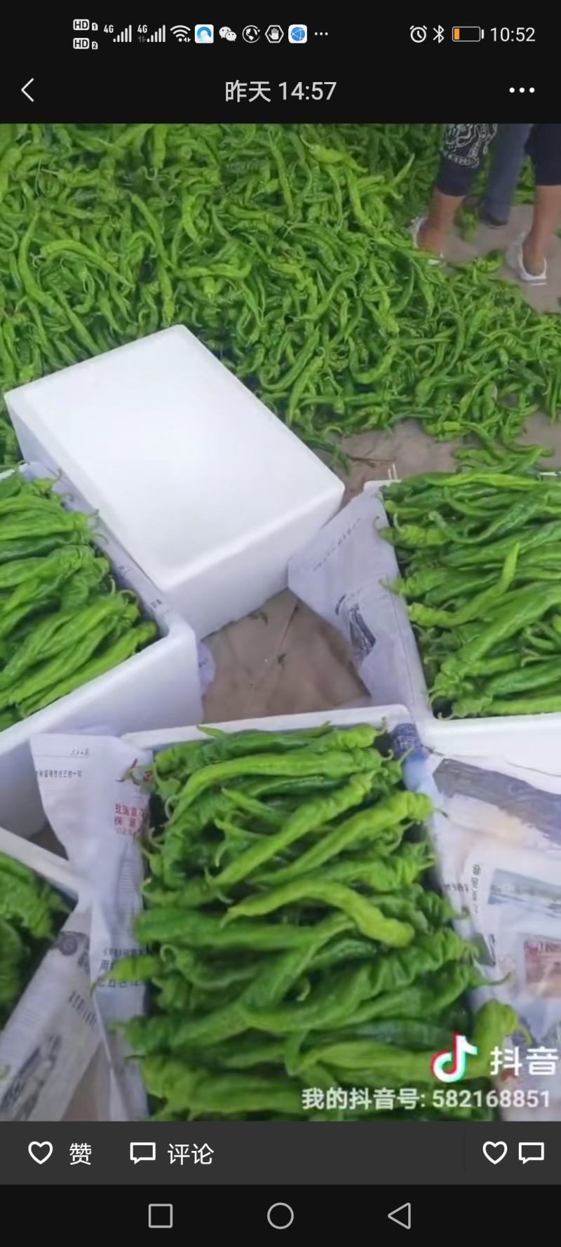 精品辣椒，有要的可以联系