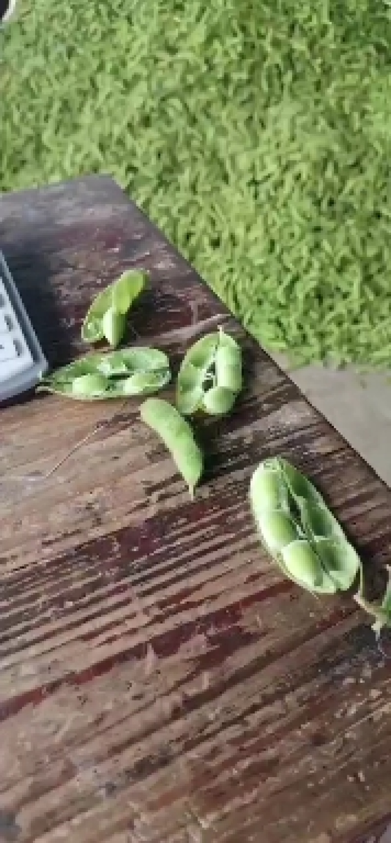 精品毛豆，宽板毛豆，可进市场批发零售，质量好价格便宜