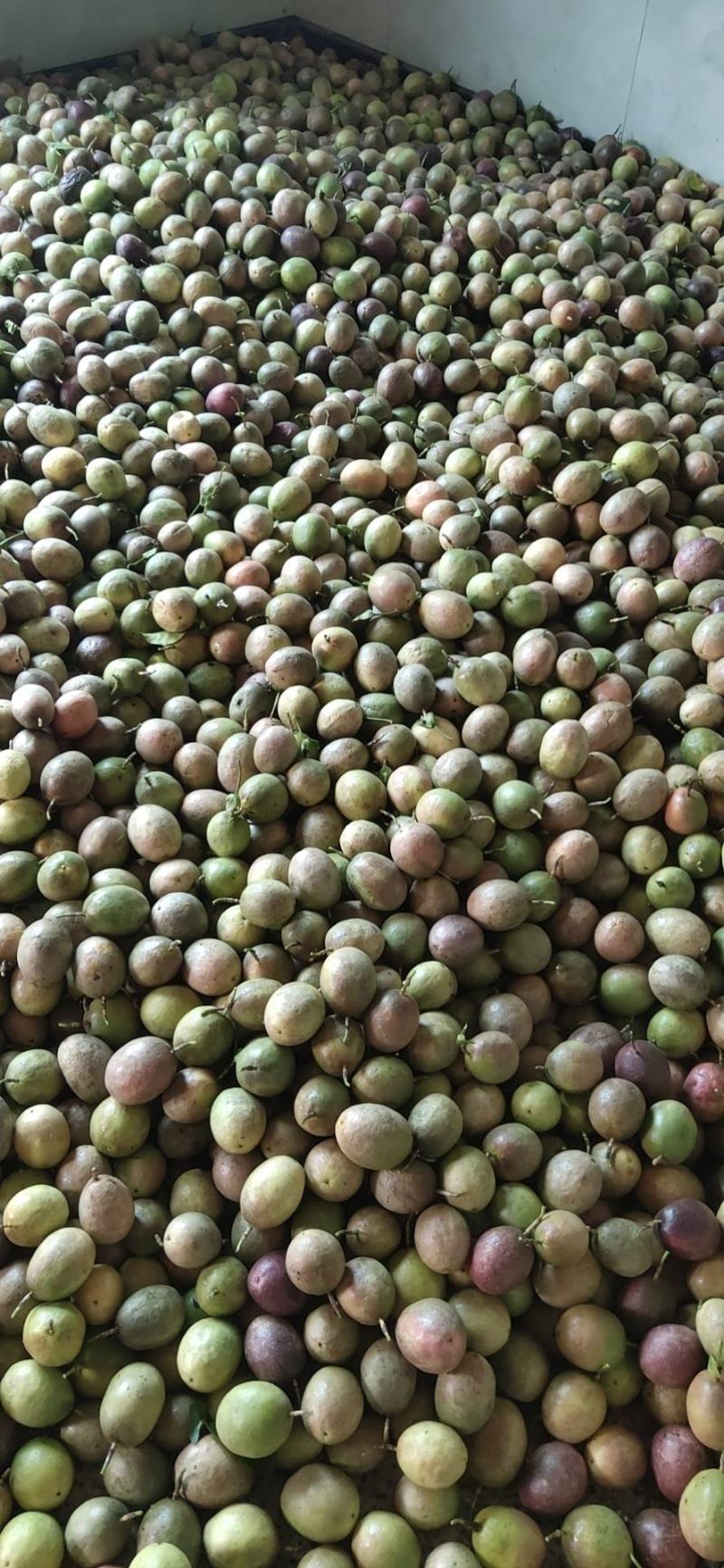 紫香台农新鲜百香果市场果电商果次果统货奶茶店果批发