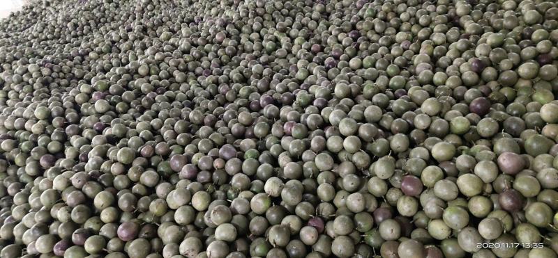 紫香台农新鲜百香果市场果电商果次果统货奶茶店果批发