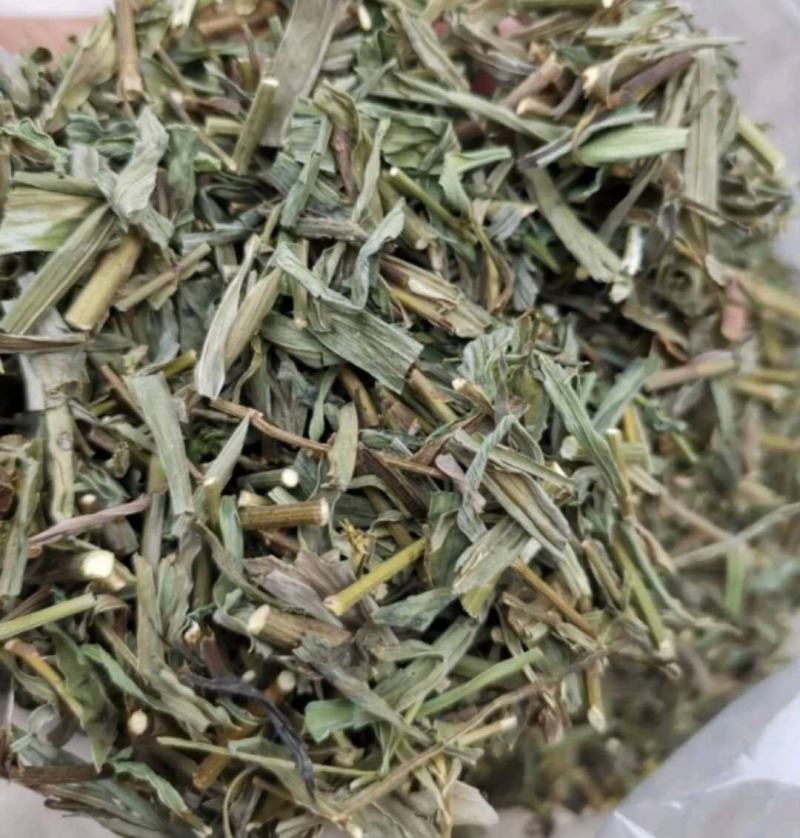 柴胡苗产地东北振兴药材购销站量大从