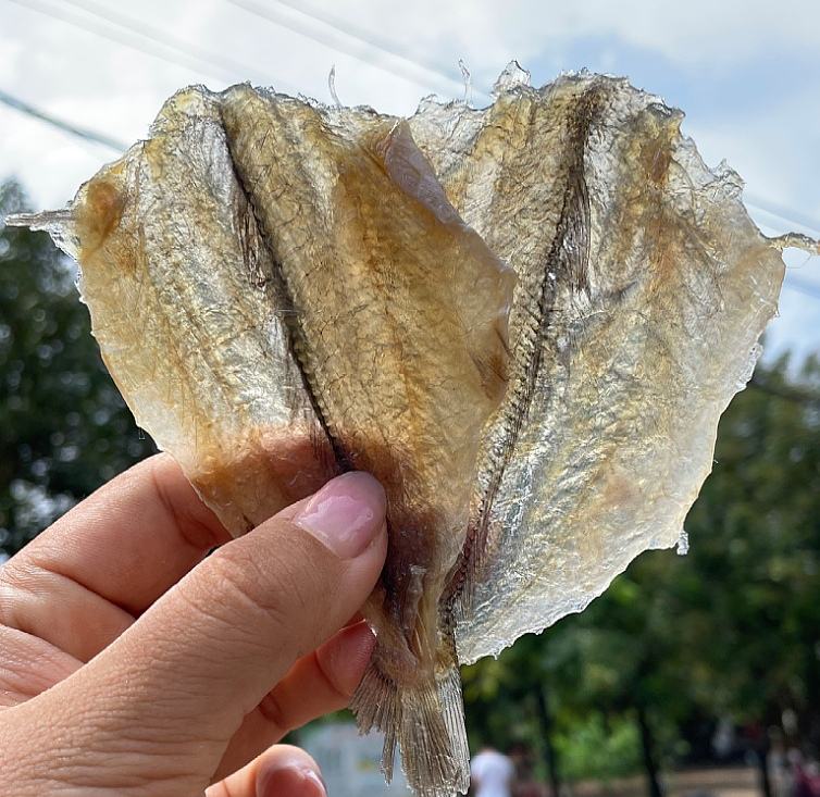 豆干切片与芹菜摆盘