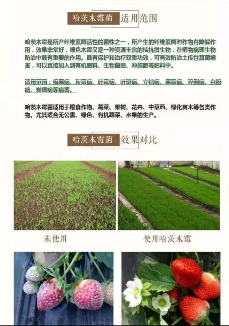 《哈茨木霉菌》包邮，土传病害克星，有效活菌20亿/克厂家