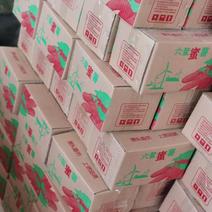 福建漳浦六鳌红薯上市小包装价格美美，量大从优产地直销