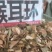 野生中药材，（猴耳环），产地直销批发零售