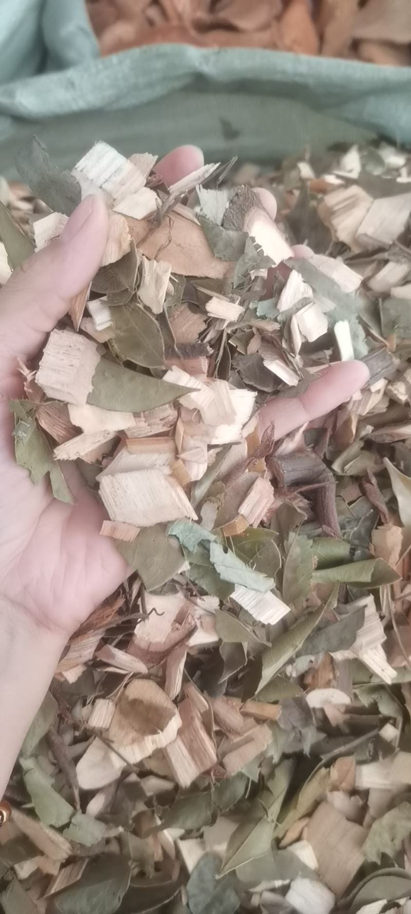 野生中药材，（猴耳环），产地直销批发零售